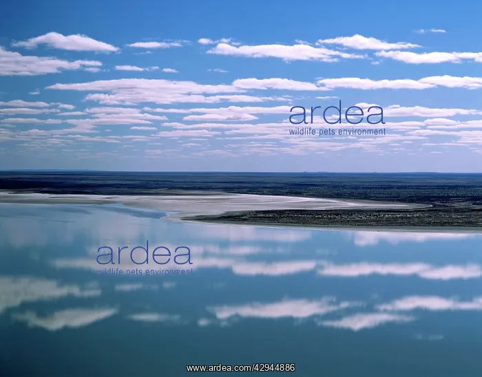 : Australia - Lake Eyre South, filled : Australia - Lake Eyre South, filled