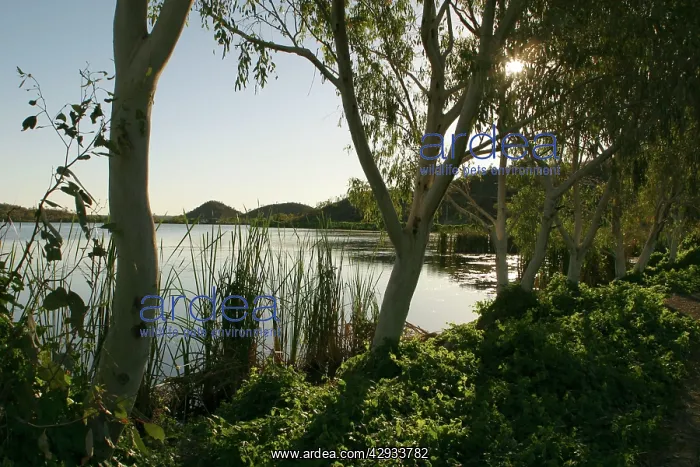 : Australia - Lake Moondarra : Australia - Lake Moondarra