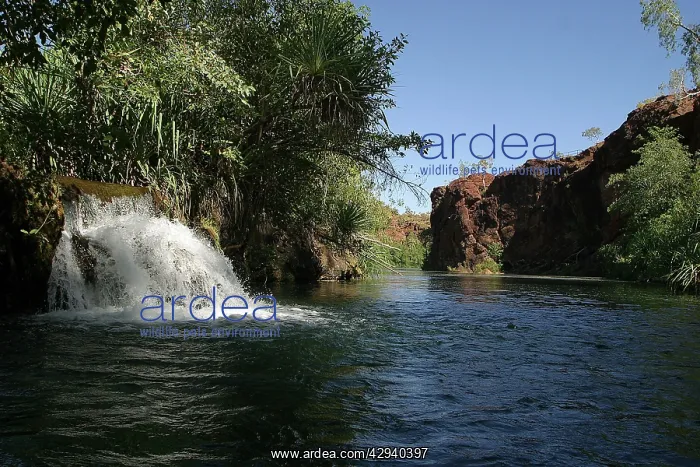 : Australia - Lawn Hill National Park, Far west Queensland : Australia - Lawn Hill National Park, Far west Queensland