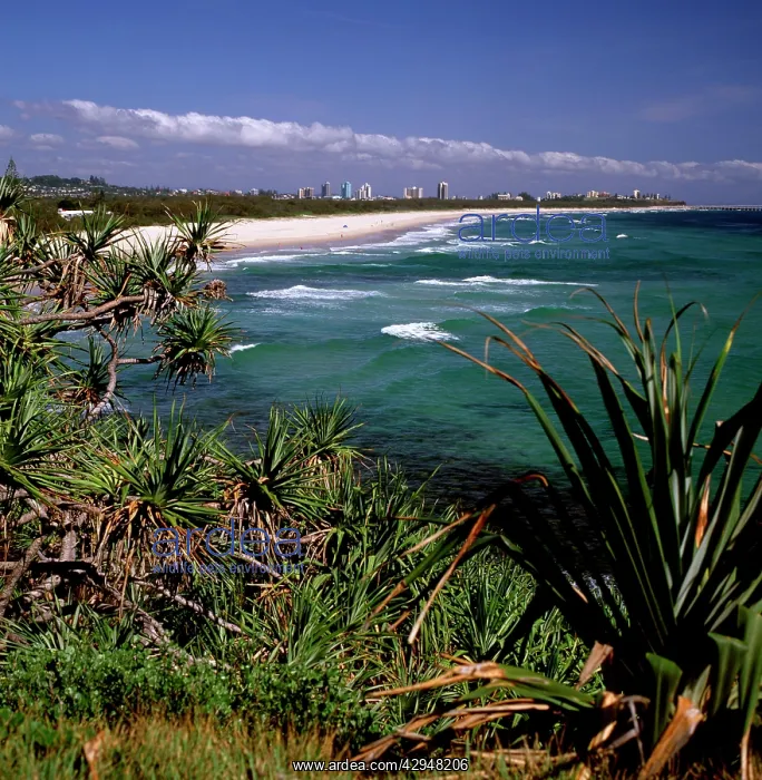 : Australia - Looking north to the natural ocean : Australia - Looking north to the natural ocean