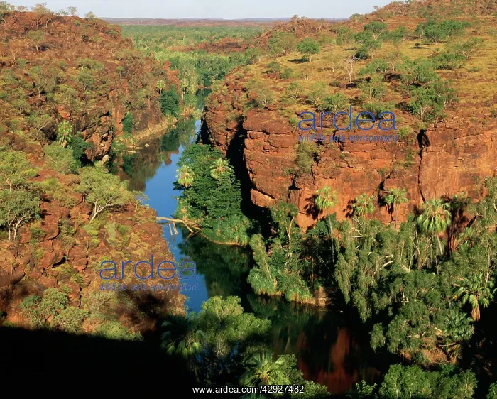 : AUSTRALIA - Lower Lawn Hill Gorge : AUSTRALIA - Lower Lawn Hill Gorge