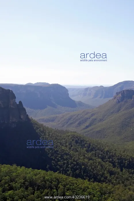 : Australia, New South Wales, Blue Mountains : Australia, New South Wales, Blue Mountains
