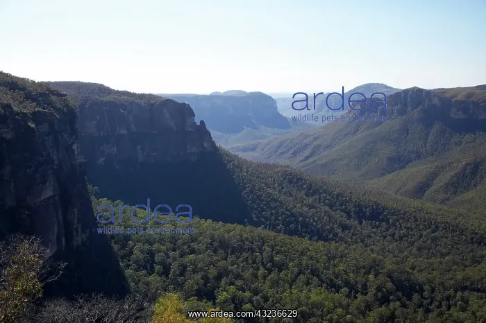 : Australia, New South Wales, Blue Mountains : Australia, New South Wales, Blue Mountains