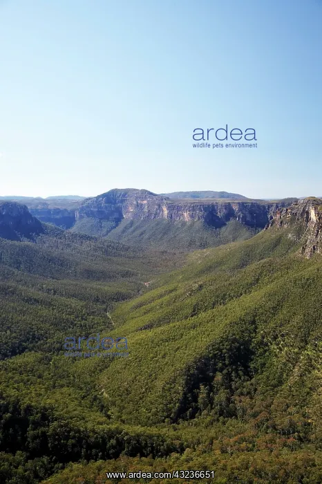 : Australia, New South Wales, Blue Mountains : Australia, New South Wales, Blue Mountains