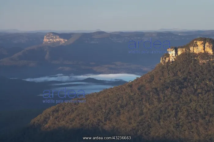 : Australia, New South Wales, Blue Mountains : Australia, New South Wales, Blue Mountains
