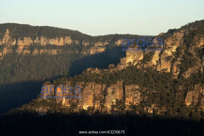 : Australia, New South Wales, Blue Mountains : Australia, New South Wales, Blue Mountains