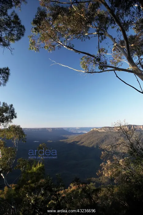  : Australia, New South Wales, Blue Mountains