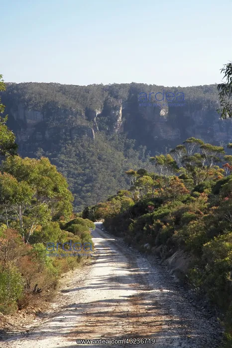 : Australia, New South Wales, Blue Mountains : Australia, New South Wales, Blue Mountains