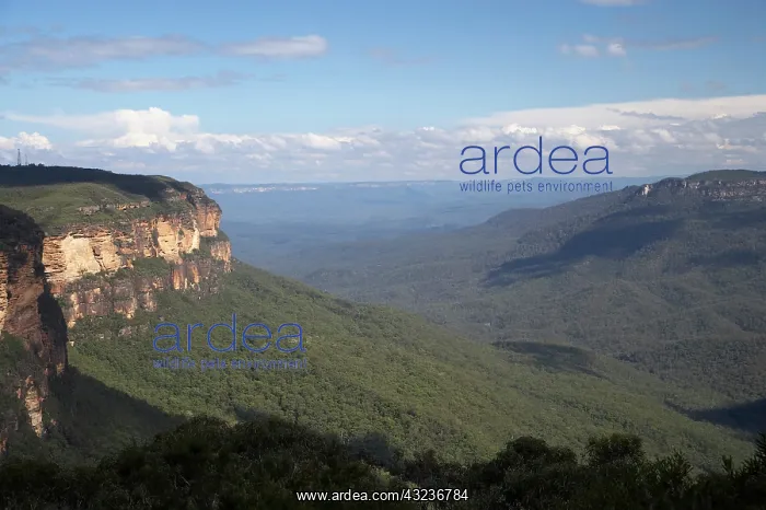 : Australia, New South Wales, Blue Mountains : Australia, New South Wales, Blue Mountains