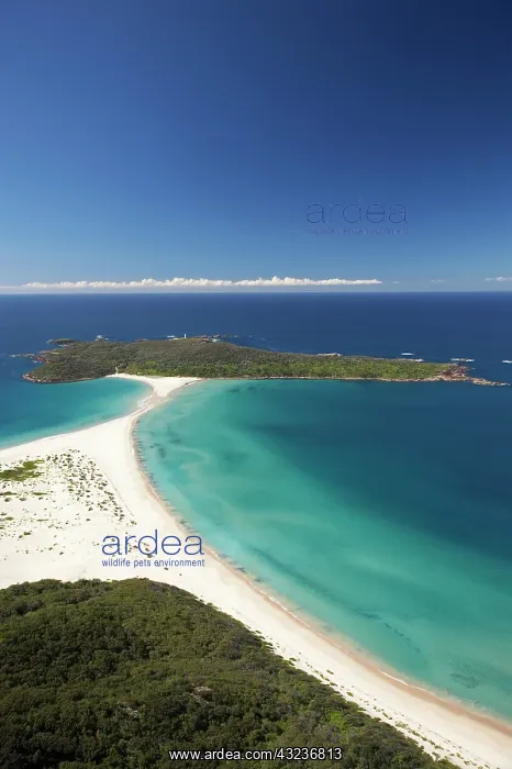 : Australia, New South Wales, Fingal Bay : Australia, New South Wales, Fingal Bay