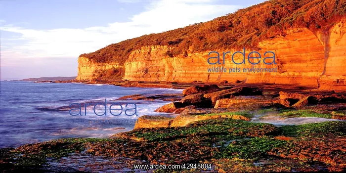 : Australia, New South Wales, South Coast : Australia, New South Wales, South Coast