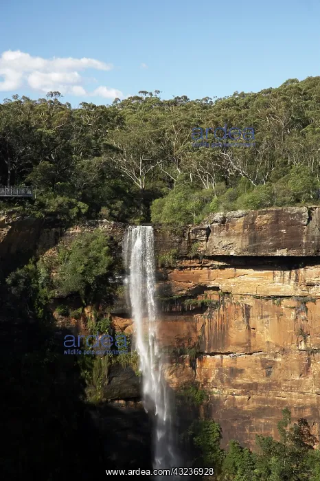 : Australia, New South Wales, Southern Highlands : Australia, New South Wales, Southern Highlands