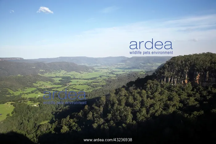 : Australia, New South Wales, Southern Highlands : Australia, New South Wales, Southern Highlands