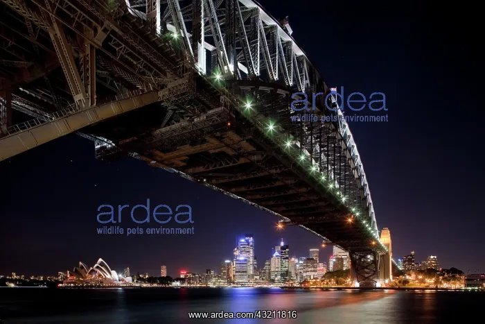 : Australia, New South Wales, Sydney, Harbor : Australia, New South Wales, Sydney, Harbor