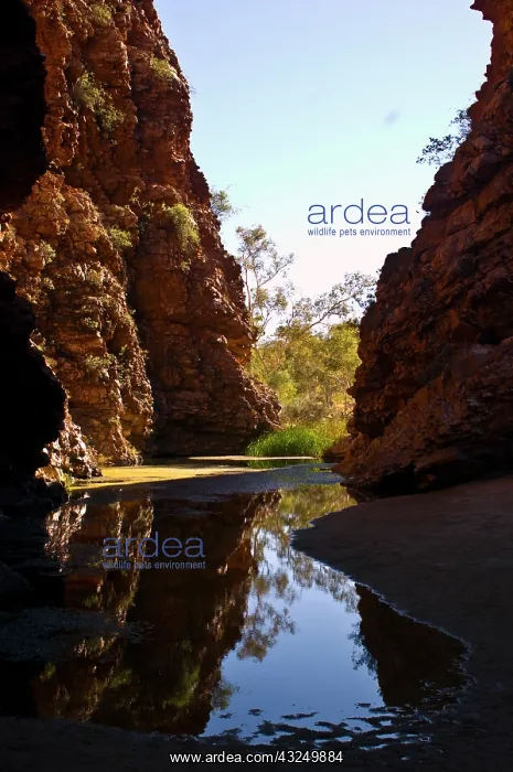 : Australia, No. Territory, Alice Springs : Australia, No. Territory, Alice Springs