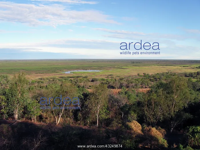 : Australia, No. Territory, view of the Adelaide : Australia, No. Territory, view of the Adelaide