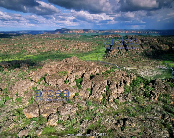 : Australia - Northern Territory - Kakadu National Park : Australia - Northern Territory - Kakadu National Park