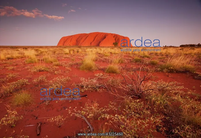 : Australia, Northern Territory, Uluru-Kata : Australia, Northern Territory, Uluru-Kata