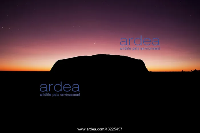 : Australia, Northern Territory, Uluru-Kata : Australia, Northern Territory, Uluru-Kata