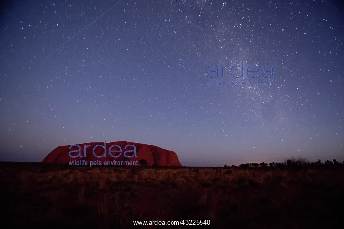 : Australia, Northern Territory, Uluru-Kata : Australia, Northern Territory, Uluru-Kata