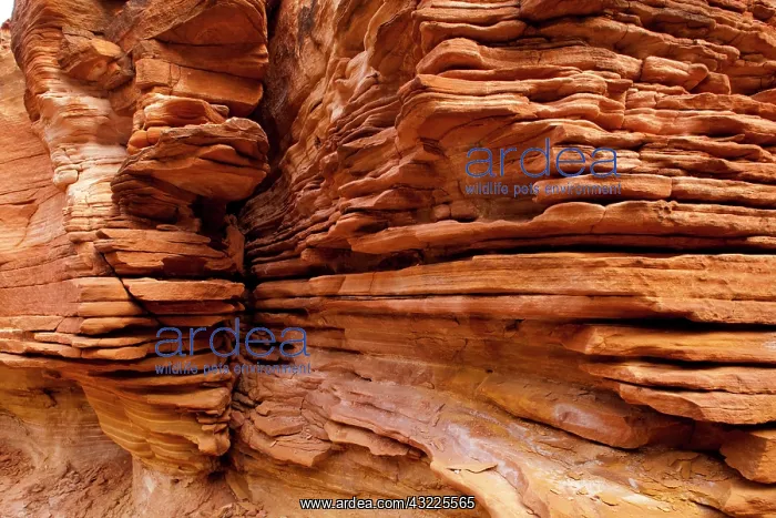 : Australia, Northern Territory, Watarrka : Australia, Northern Territory, Watarrka