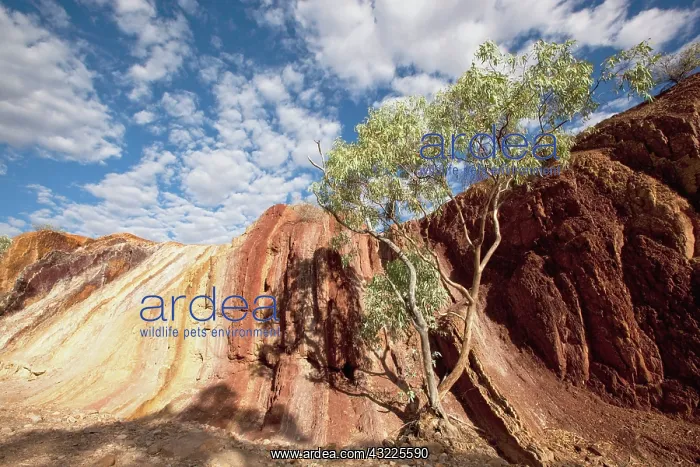 : Australia, Northern Territory, West MacDonnell : Australia, Northern Territory, West MacDonnell
