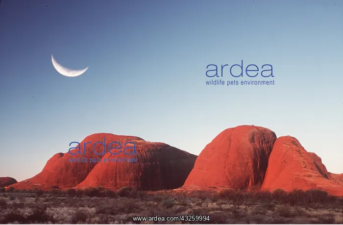 : Australia, The Olgas - just after sunset : Australia, The Olgas - just after sunset