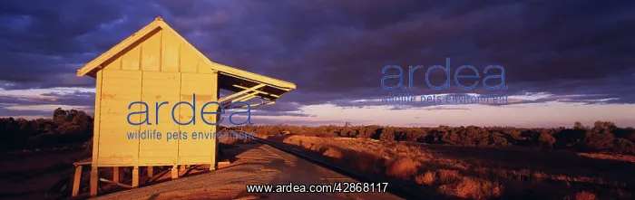 : Australia - Outback railway station near Broken Hill : Australia - Outback railway station near Broken Hill