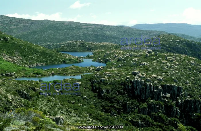 : Australia - Platypus Tarn, small glaciated lake : Australia - Platypus Tarn, small glaciated lake