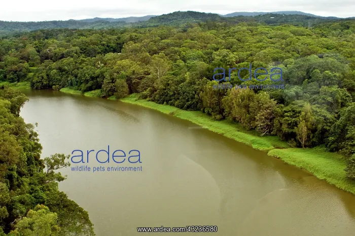  : Australia, Queensland, Cairns, Baron River