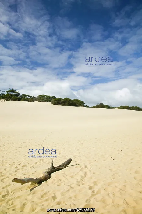 : Australia, Queensland, Fraser Coast, Rainbow : Australia, Queensland, Fraser Coast, Rainbow
