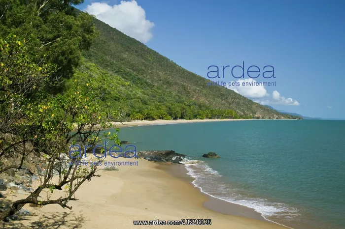 : Australia, Queensland, North Coast, Cairns : Australia, Queensland, North Coast, Cairns