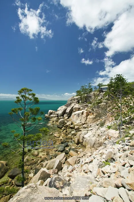 : Australia, Queensland, North Coast, Magnetic : Australia, Queensland, North Coast, Magnetic