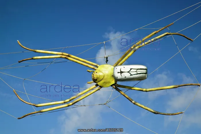 : Australia, Queensland, North Coast, Townsville : Australia, Queensland, North Coast, Townsville