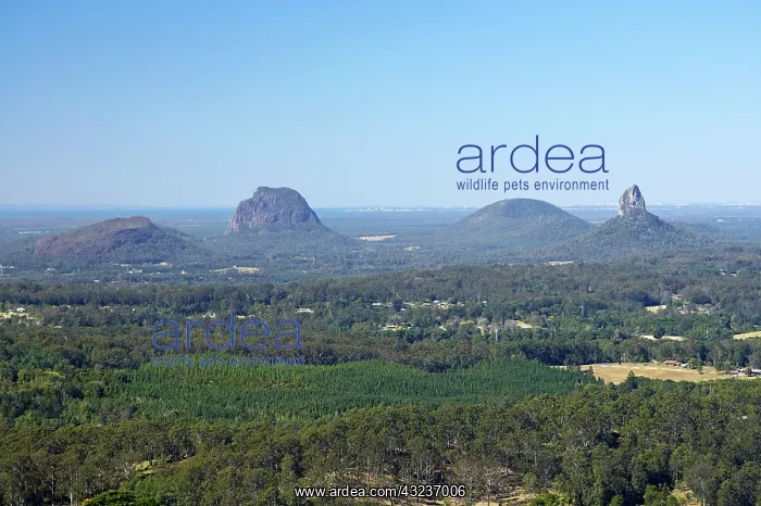 : Australia, Queensland, Sunshine Coast, Glass : Australia, Queensland, Sunshine Coast, Glass