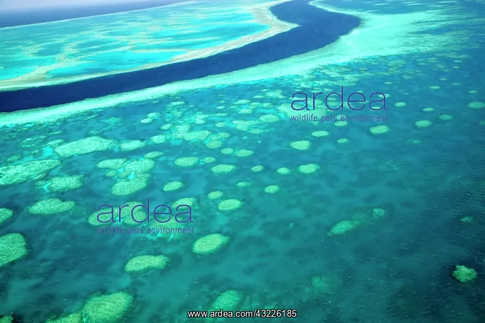 : Australia, Queensland, Whitsunday Coast : Australia, Queensland, Whitsunday Coast