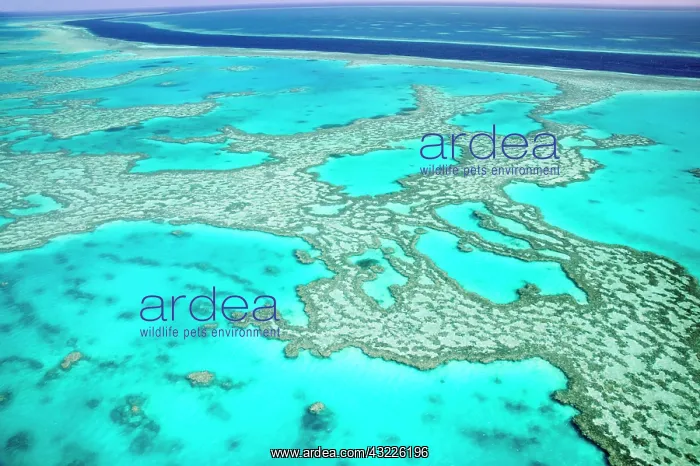  : Australia, Queensland, Whitsunday Coast