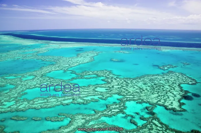 : Australia, Queensland, Whitsunday Coast : Australia, Queensland, Whitsunday Coast