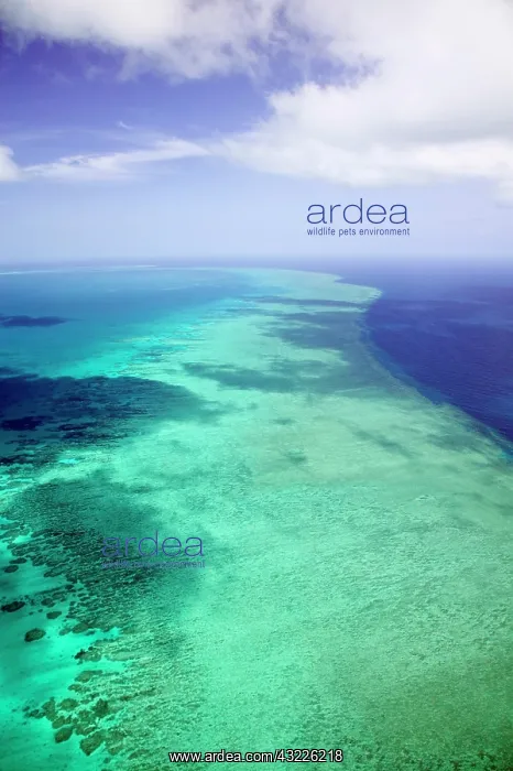 : Australia, Queensland, Whitsunday Coast : Australia, Queensland, Whitsunday Coast