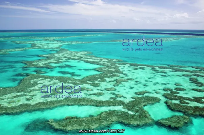 : Australia, Queensland, Whitsunday Coast : Australia, Queensland, Whitsunday Coast