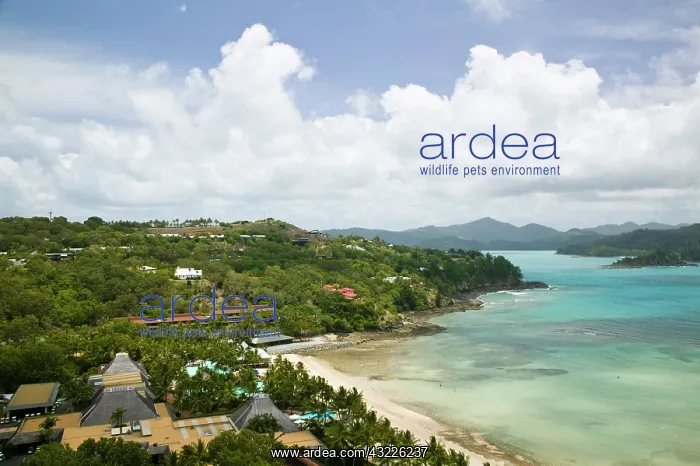 : Australia, Queensland, Whitsunday Coast : Australia, Queensland, Whitsunday Coast