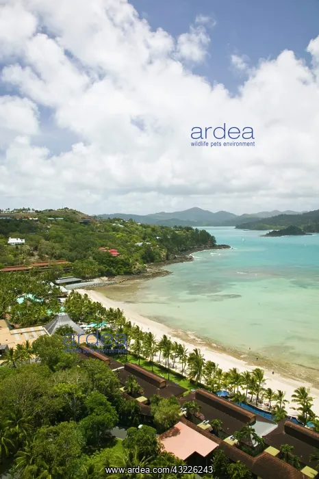 : Australia, Queensland, Whitsunday Coast : Australia, Queensland, Whitsunday Coast