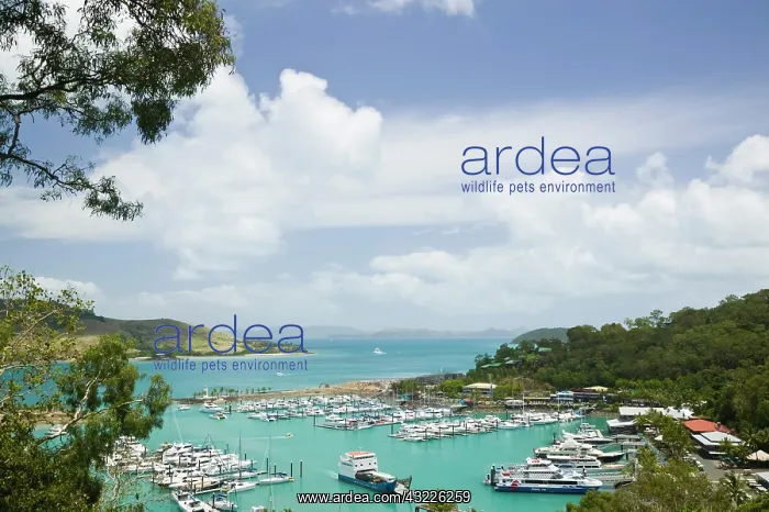 : Australia, Queensland, Whitsunday Coast : Australia, Queensland, Whitsunday Coast