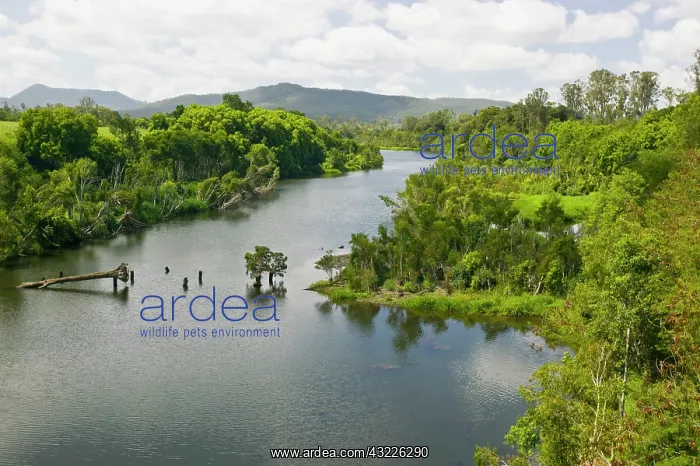 : Australia, Queensland, Whitsunday Coast : Australia, Queensland, Whitsunday Coast