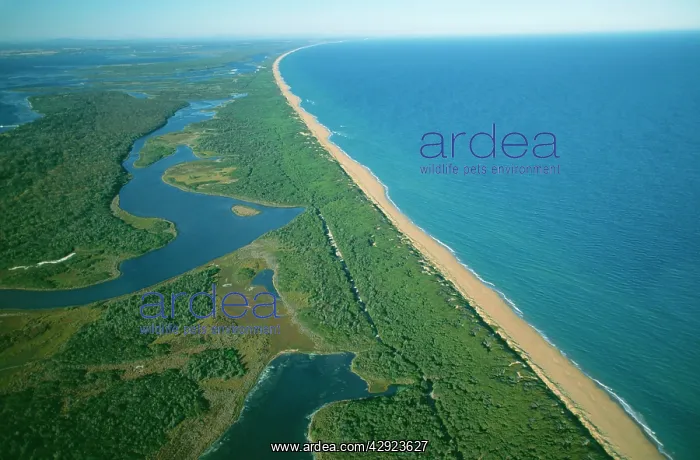 : Australia - Sand bar on Ninety mile Beach : Australia - Sand bar on Ninety mile Beach