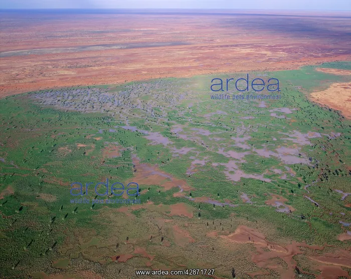 : Australia - seasonal swamp by Old Andado station : Australia - seasonal swamp by Old Andado station
