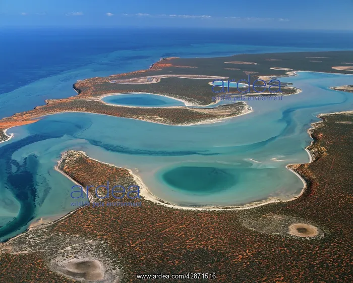: Australia - Shark Bay lagoon, Heritage Area (UNESCO) : Australia - Shark Bay lagoon, Heritage Area (UNESCO)