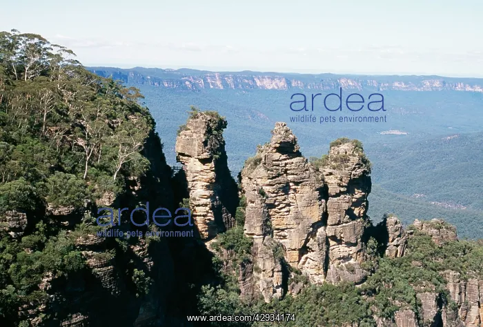 : AUSTRALIA - Three Sisters, Echo Point, Blue Mountains : AUSTRALIA - Three Sisters, Echo Point, Blue Mountains