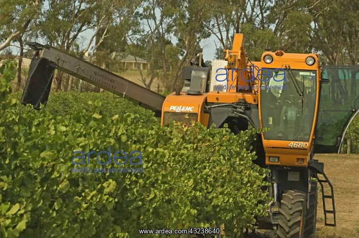  : Australia, South Australia, Adelaide Hills