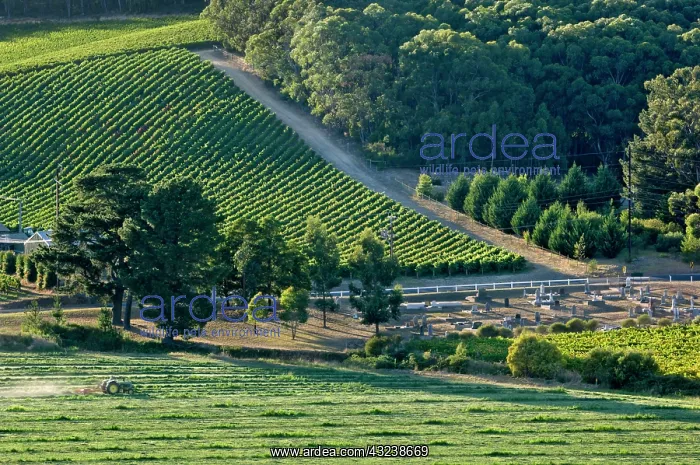 : Australia, South Australia, Adelaide Hills : Australia, South Australia, Adelaide Hills